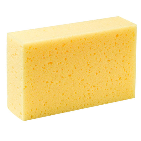 SeaTec svamp til bådpleje, set fra siden med naturlig belysning.